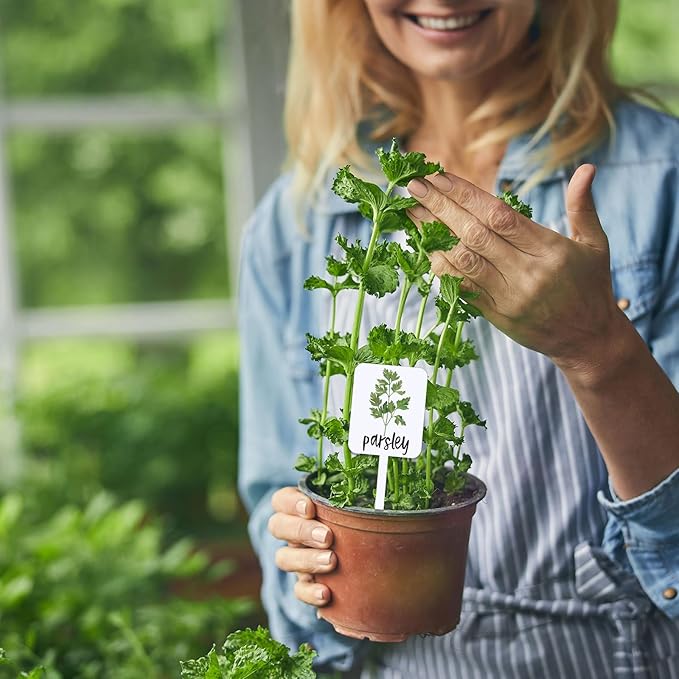 20Pcs Acrylic Plant Label Signs 20 Styles Garden Herb Markers Plant Stake Tags White Waterproof Tags with Herb Names for Nursery Indoor Outdoor Garden Decor