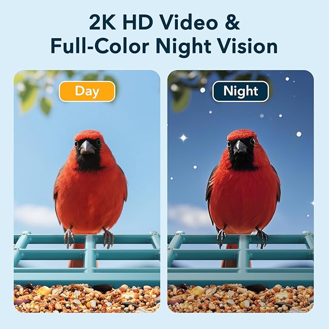 PeckCam® Bird Feeder with Camera Solar Powered, AI Identify & Auto Capture with 32GB Card, 2K HD Live Video Smart Bird Feeder Camera Instant Notifications in Backyard, Gift for Bird Lovers