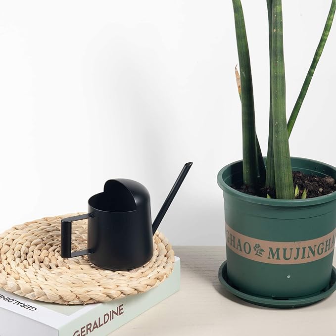 IMEEA Mini Watering Can for Indoor Plants Stainless Steel Small Watering Can 11oz/300ml