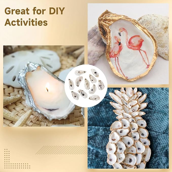 Homaisson 10 PCS Oyster Shells for Crafts, 5-6 in Large Oyster Shell for Decor, Natural North Sea Origin for Aquarium Landscaping DIY Ornaments, Crack-Free Surface