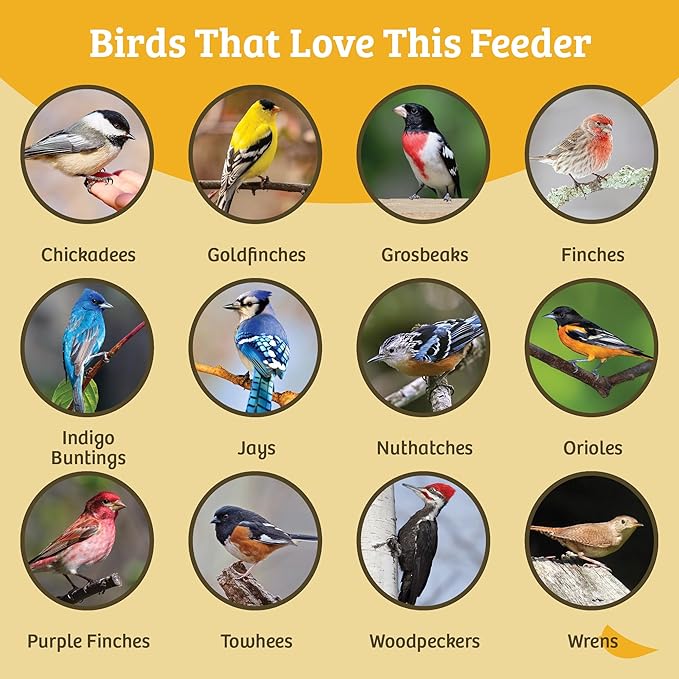 Birds Choice Suet Feeder with Tail Prop, Holds 1 Suet Cake | Hanging Suet Bird Feeder with Roof, Woodpeckers, Jays, Nuthatches | Sturdy for Garden & Backyard | Taupe & Green, 8" L x 3" W x 12" H