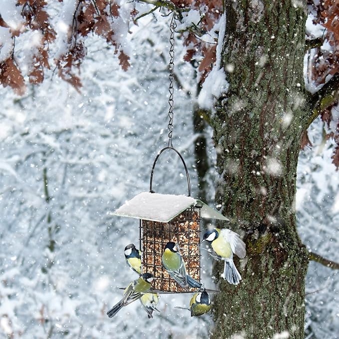 Bird Feeder for Outdoors, Suet Feeder Hanging, Attracts Nuthatches, Woodpeckers, Creepers, Weatherproof Bird Feeders for Wild Birds Woodpecker, Single Suet Cage for Outdoor
