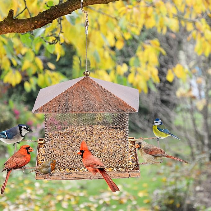 Bird Feeder, Heavy Duty Metal Bird Feeders for Outdoor Hanging, 5LB Extra Large Capacity Wild Birdfeeder for Garden Yard Outside Backyard