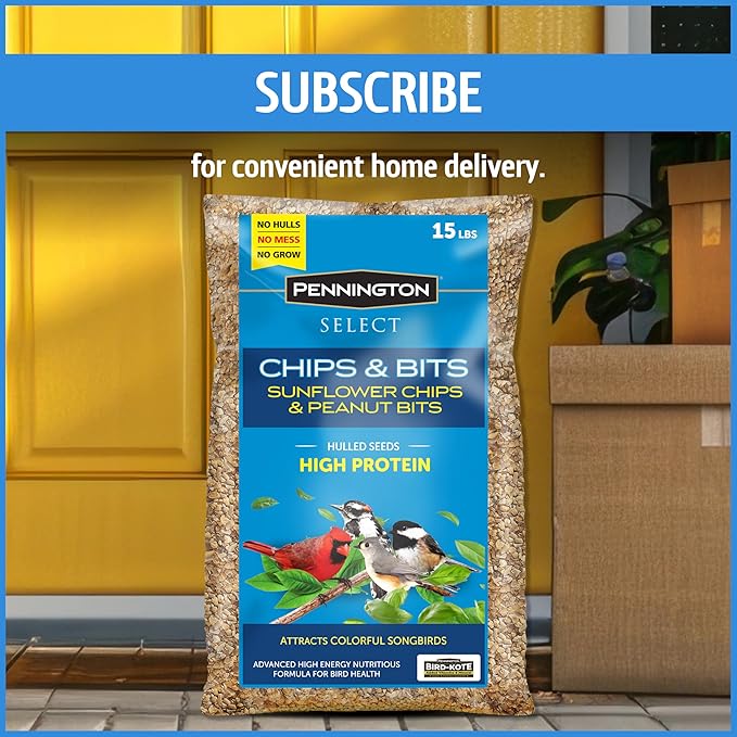 Pennington Select Chips & Bits Wild Bird Seed for Outside Feeders, High-Protein, No Hull & No Waste Bird Seed Blend, Sunflower Chips & Peanut Bits Attract Songbirds,15-lb. Bag