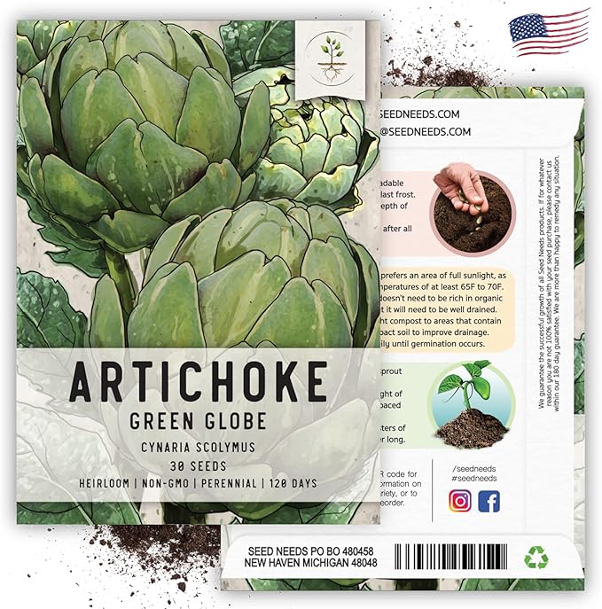 Seed Needs Artichoke Seeds for Planting Green Globe Artichokes - Non-GMO Heirloom & Untreated - Grow an Outdoor Home Grown Vegetable Garden for Fresh Produce (5 Packs)