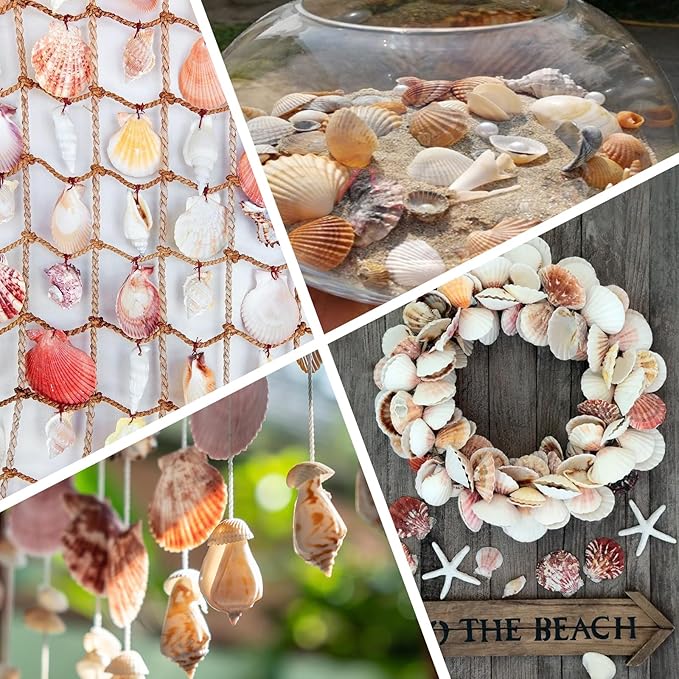80+ Pcs Natural Seashells, Mixed Starfish Sea Shells for Crafts, Various Sizes Ocean Shells Conch for Decorating, Beach Theme Party, DIY Crafts, Fish Tank Filling, Home Decor, Wedding Decoration