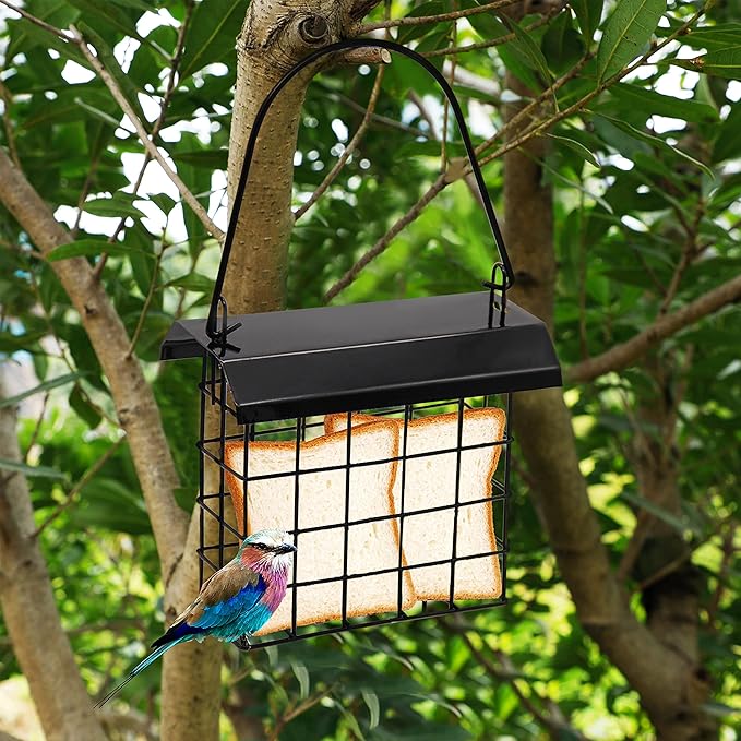 FORUP Suet Bird Feeder, Hanging Suet Feeder, Single Suet Cake Bird Feeder, One Suet Capacity, 2 Pack