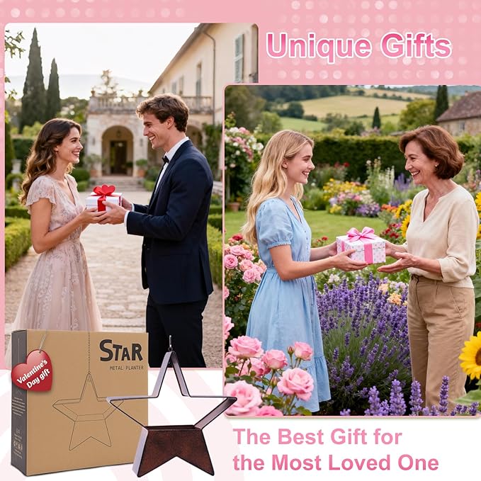 Metal Plant Hangers Indoor and Outdoor: Valentines Day Gifts for Her Wife Women Mom Garden Lovers Birthday - Star Shape Hanging Planters for Window Wall Living Room Office Decor(Rustic)