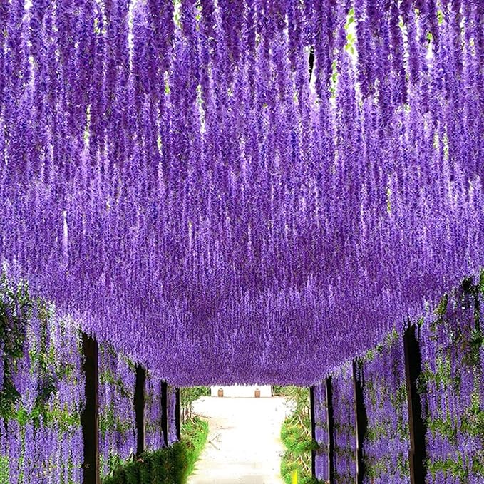 Artificial Flowers Hanging Flowers, Fake Wisteria Flower Garland Silk Vines Rattan String Decor for Home Wedding Arch Wall Garden Greenery Bedroom Outdoor Office Party Decoration (12, Light Purple)