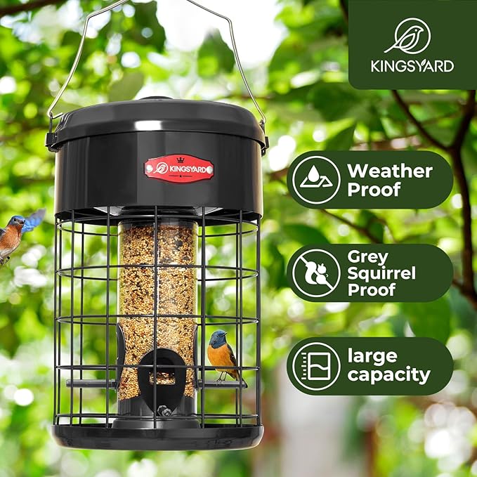 Kingsyard Upgraded Squirrel Proof Caged Bird Feeder for Outdoor Hanging - Additional Storage Tube Bird Feeder with 4 Feeding Ports & Perches, Easy to Clean & Refill. Black