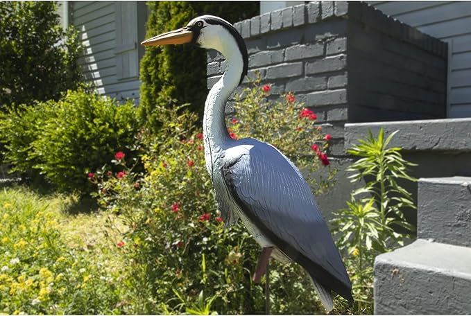 Higdon Outdoors Blue Heron Confidence Decoy for Waterfowl and Ornamental Water Garden, Pond and Landscape Decoration Plus Pest Deterrent