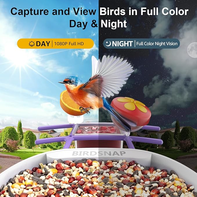 birdsnap® PAV-Bird Feeder with Camera,2K HD with 64GB Card, AI Identify Smart Bird House Cam Solar Panel,Live Stream,Motion Detection,Auto Record Video for Backyard Outdoors,Ideal Gift for Bird Lover