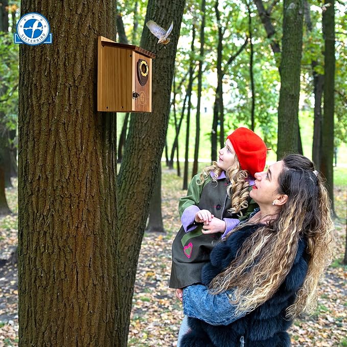 Pack of 2 Bluebird Houses for Outside, Premium Wooden Bird House, Bluebird House for Outdoor, Courtyard Decoration Bird Nest, Bluebird Finch Swallow Wren Chickadee