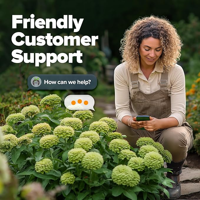 HOME GROWN Envy Zinnia Seeds (1g) – 500 Rare Lime Green Annual Zinnia Flower Seeds for Planting, Fast-Growing Heat-Loving Variety, Premium Herb Seeds Garden Companion for 2026 Blooms (Zinnia elegans)