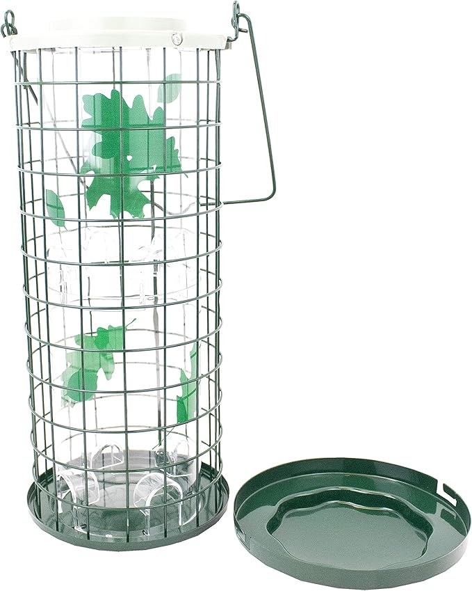 Perky-Pet Squirrel Stumper Wild Bird Feeder - Keep Squirrels Out - 8 Feeding Ports for Wild Birds - 3 lb Wild Bird Seed Capacity - 114G, Green - Decor for Outdoors