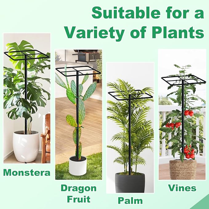 63'' Metal Dragon Fruit Trellis, Adjust Durable Dragon Fruit Stand Support Tower Plant Cage for Gardening Climbing Plants Trees Cactus Roses Vines Outdoor Indoor, 2 Pcs