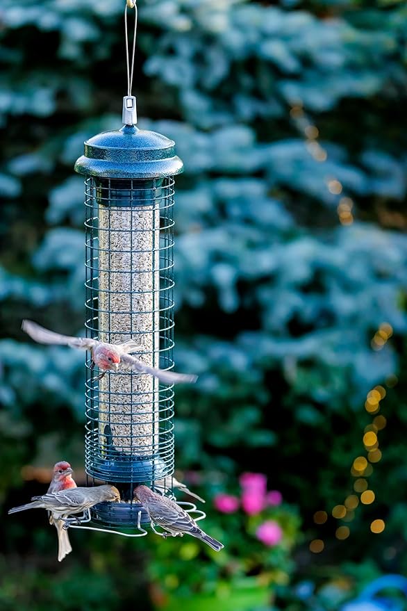 Brome Squirrel Solution 150 Squirrel-Proof Bird Feeder for Wild Birds – 4 Stainless Steel Perches, 2.6 lb Seed Capacity, Chew-Proof, Free Seed Funnel Included