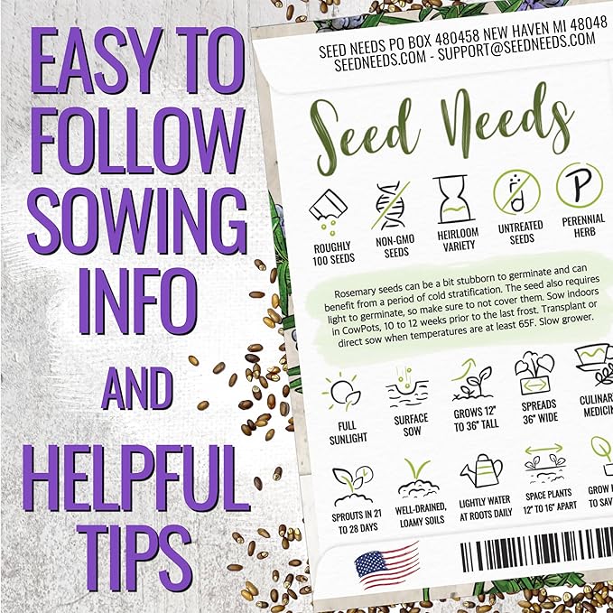 Seed Needs Rosemary & Thyme Seeds for Planting Fresh Kitchen Herbs - Non-GMO Heirloom & Untreated Perennial Herb Seed to Plant a Culinary Garden Indoors or Outdoors (2 Packs)