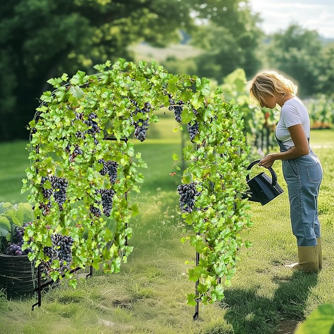 unho Black Iron Garden Arch Trellis for Climbing Plants, 41*64*63inch, Rustic Archway Arbor Tunnel for Vegetables, Cucumber, Raised Bed