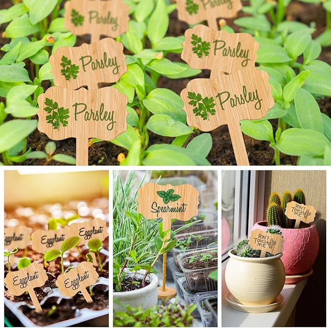 Whaline 60Pcs Bamboo Plant Labels with 1 Marker Pen Eco-Friendly T-Type Wooden Plant Sign Tags Wood Garden Markers Decorative Garden Tags for Seed Potted Herbs Flowers Vegetables (6.5 X 10 cm)