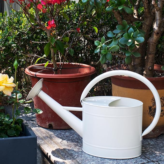 1.3 Gal Watering Can, Matte Cream White Finish, Galvanized, Metal Watering Can, Perfect Plant Water Can for Plants Indoor & Outdoor