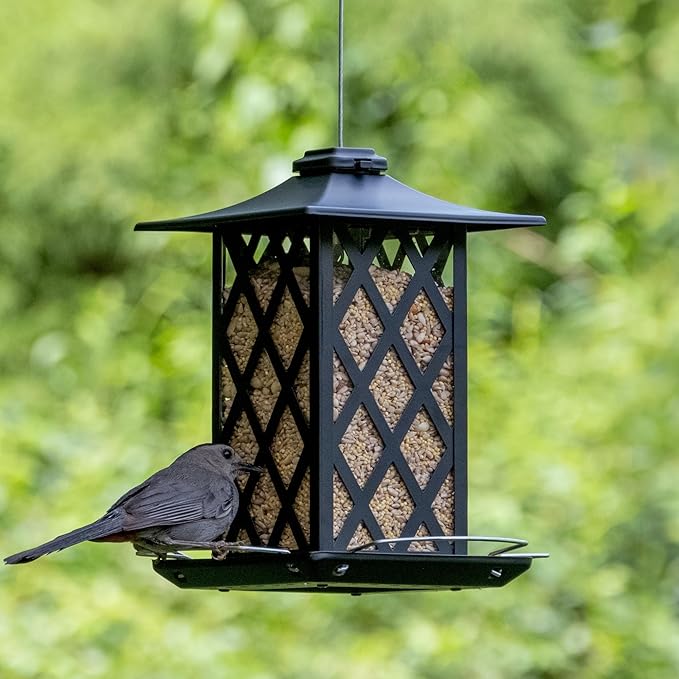 Nature's Way Outdoor Garden Décor Hanging Wild Bird Seed Feeder, Metal Lantern Gazebo Feeder, Easy Fill, Rain Drainage, Black