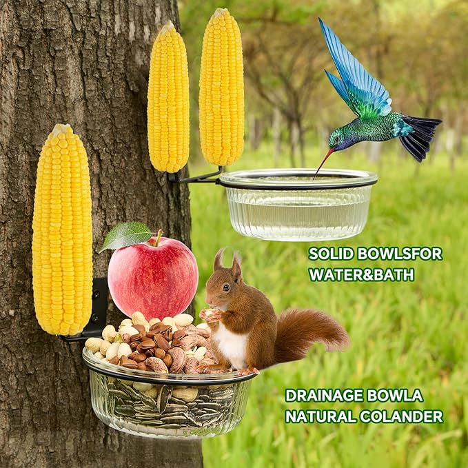 Glass Squirrel and Bird Feeder for Outdoors - No Assembly, Removable Bowl for Wet Food, Water or Bird Bath, Panoramic View, Easy Tree or Fence Mount, Easy to Clean