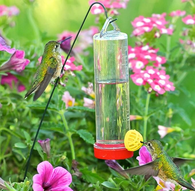 Perky-Pet 2 Pack of 215P Planter Box Plastic Hummingbird Feeder with Hanger (3 Ounce Capacity)