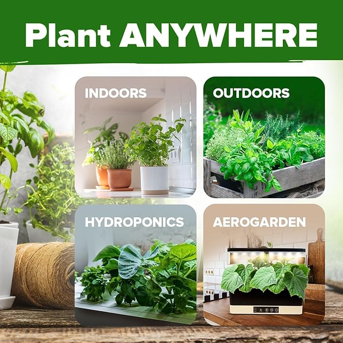 HOME GROWN 15 Herb Seeds for Planting 5,100+ Non-GMO Heirloom Seeds | Extra Large Variety Pack Herb Kit – Indoor Outdoor & Hydroponic | Culinary Seed Set | Grow Your Own Herbs | Gardening Gift