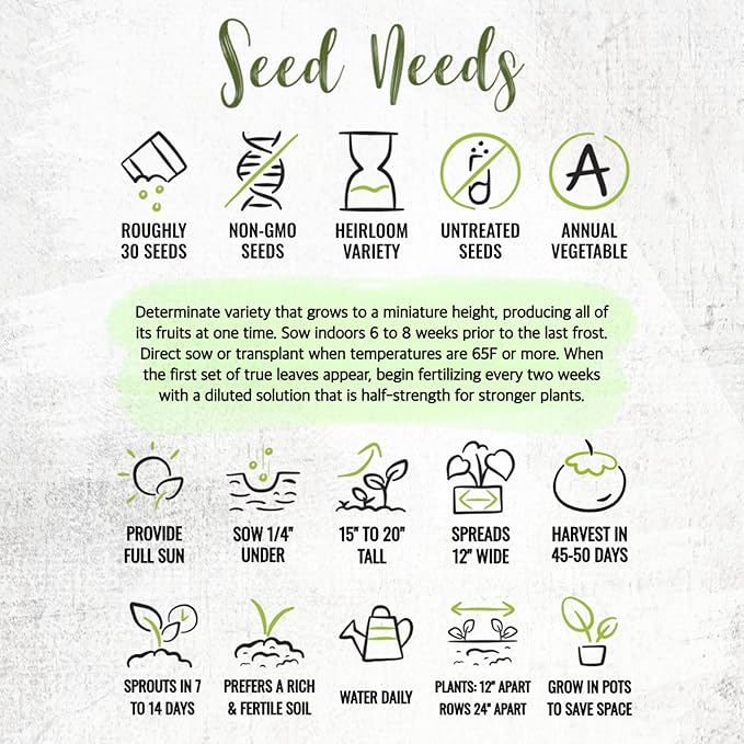 Seed Needs Dwarf Cherry Tomato Seeds for Planting Tiny Tim Tomatoes - Non-GMO Heirloom & Untreated Veggie Seed to Plant a Home Grown Outdoor Vegetable Garden (2 Packs)