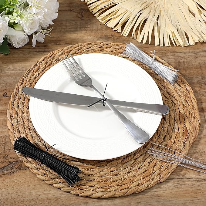 200 Pcs Clear Twist Ties 4 inch Reusable Plastic Metal Wire Twists Tie Garden Twist Ties for Plastic Coffee Bags, Gift Wrapping, Crafts, Plants (Clear and Black)