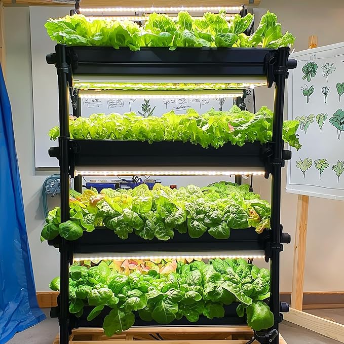 20,000+ Lettuce Seeds, Heirloom Winter Vegetable Seed for Planting Indoor Outdoor, 10 Varieties Fresh Lettuce Salad Seeds Garden Hydroponics Kit - Romaine, Iceberg, Boston, Bibb and More, Non-GMO