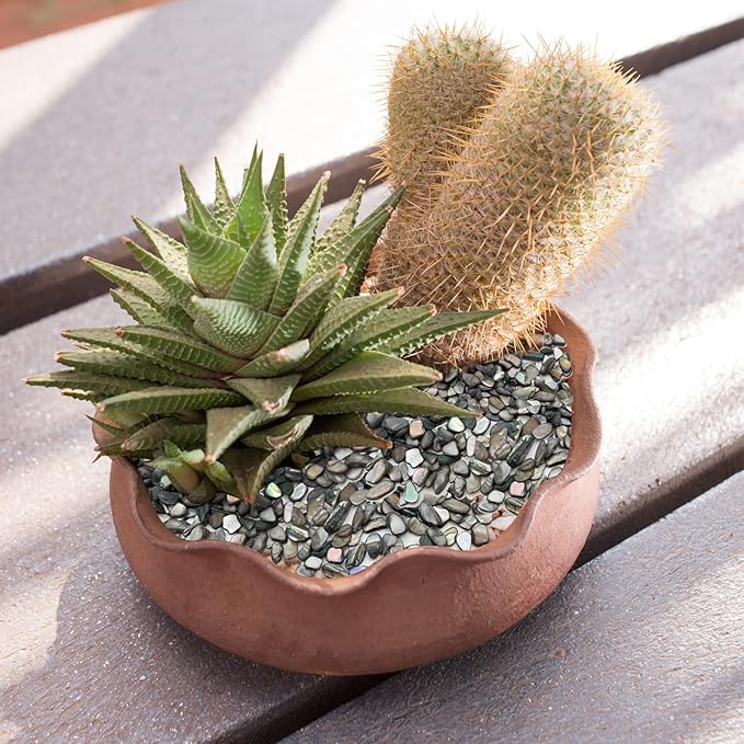 Crushed Shells for Crafts, Sea Shells for DIY Art, Vase Fillers Table Scatter, Party Favor, Wedding Decoration, Succulents Plants Soil Cover, Art Crafts