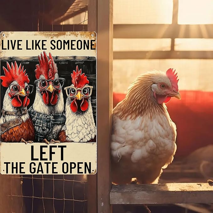 Vintage Metal Chicken Signs-Funny Chicken Decor Sign Live Like Someone Left The Gate Open Tin Sign for Home Chicken Coop Farm Fence Kitchen Bathroom Bedroom Wall Decor 8x12 Inches