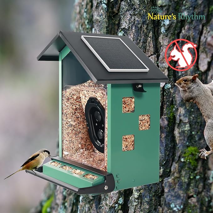 Bird Feeder Squirrel-Proof Bird Feeder with Camera Watch The Birds Feed
