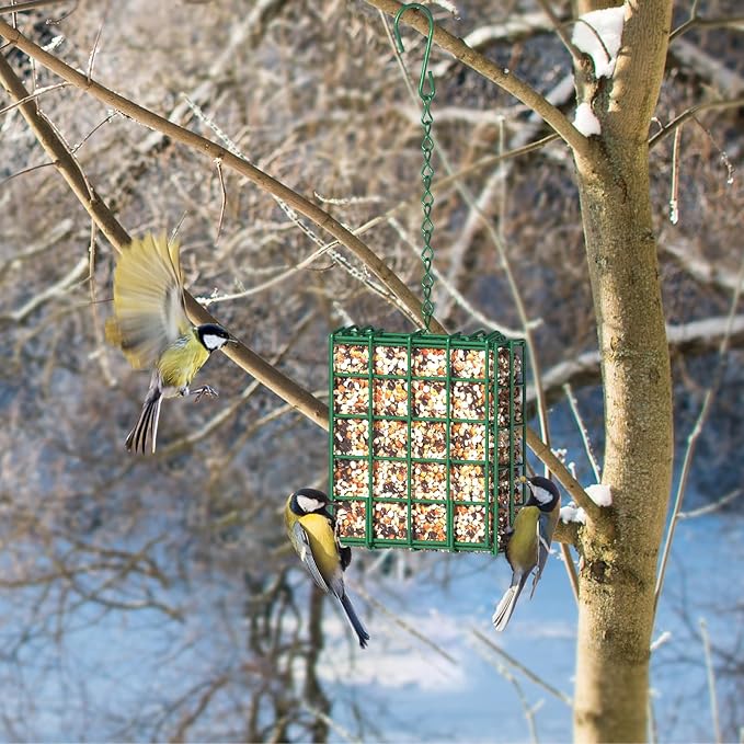 Bird Feeder for Outdoors, Large Capacity Suet Feeder Hanging Birdfeeder, 2 Slices Suet Cake Feeders fo Attracting Birds - Bird Feeder Hanging for Garden Yard Outside