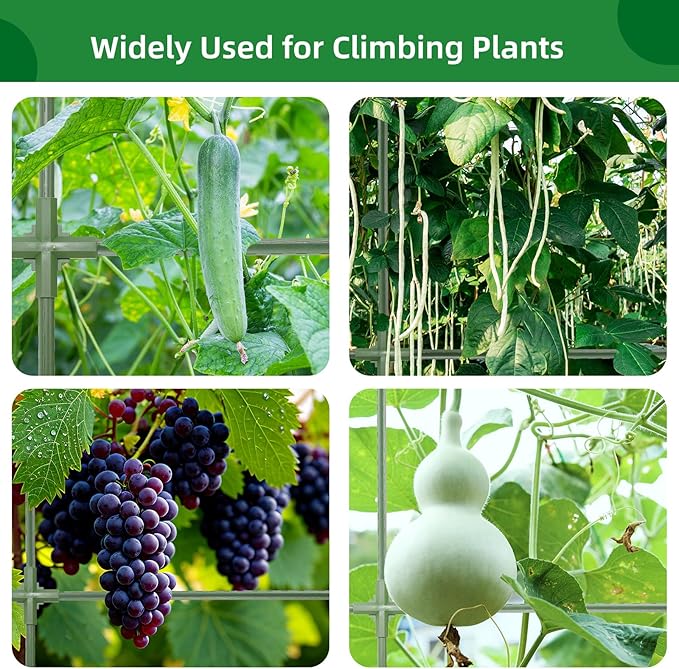 65"ร50" Cucumber Trellis for Raised Bed,Tall Metal Arch Garden Trellis for Climbing Plants Outdoor,Vegetables,Plant Support Peas,Fruit,Flower,Grape,Tomato, Bean