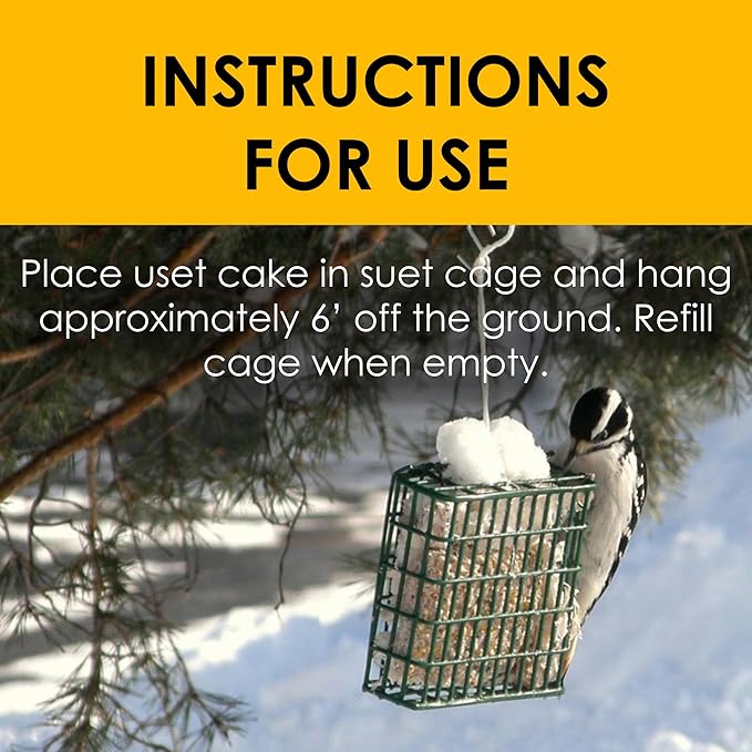 Heath Outdoor Products Birds DD4-10 All Season High Energy Suet Cake,(Pack of 20)