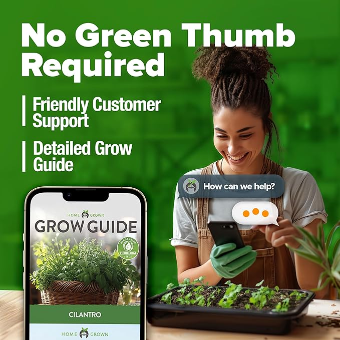 HOME GROWN Non GMO 500+ Cilantro Seeds for Planting Indoors or Outdoors - Heirloom Coriander Seeds, Grow Your Own Cilantro Plant - Culinary Herb Seeds for Your Herb Garden