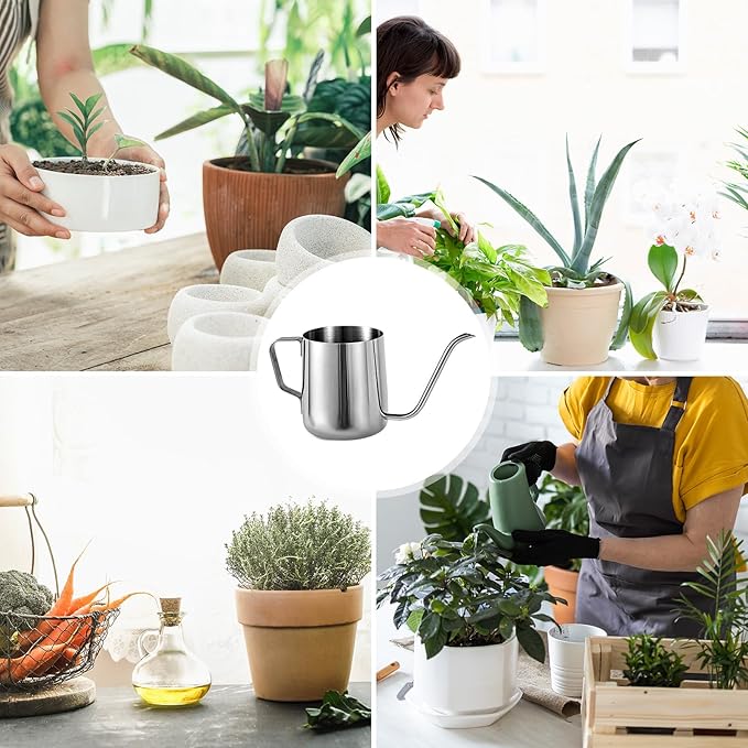 Small Plant Watering Can, 12oz/350ml Stainless Steel Tiny Mini Plant Watering Pot with Long Spout Accessories Tools for Indoor Outdoor Garden Flowers Bonsai (Silver)