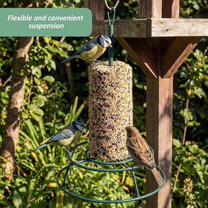 Honeydak 1 Pcs Cylinder Bird Feeder Outdoor Seed Holder for Large Small Cylinders Metal Suet Cake Feeder Backyard Wild Birds Feeding Bird Container for Outdoors Garden (Dark Green)