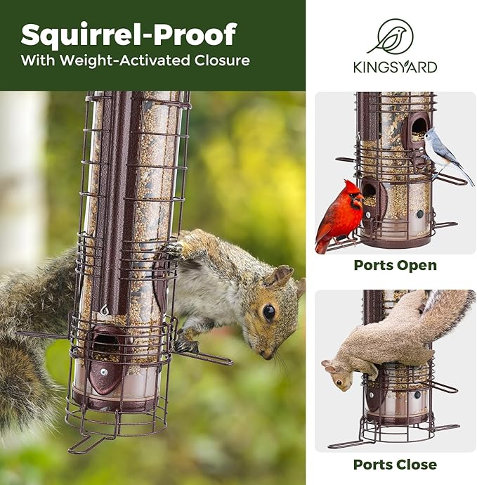 Kingsyard Squirrel Proof Bird Feeder for Outside Hanging, Weight-Activated All-Metal Wild Bird Feeders for Cardinal Finch, Detachable Base Easy to Clean, 3 LBS Capacity,Bronze