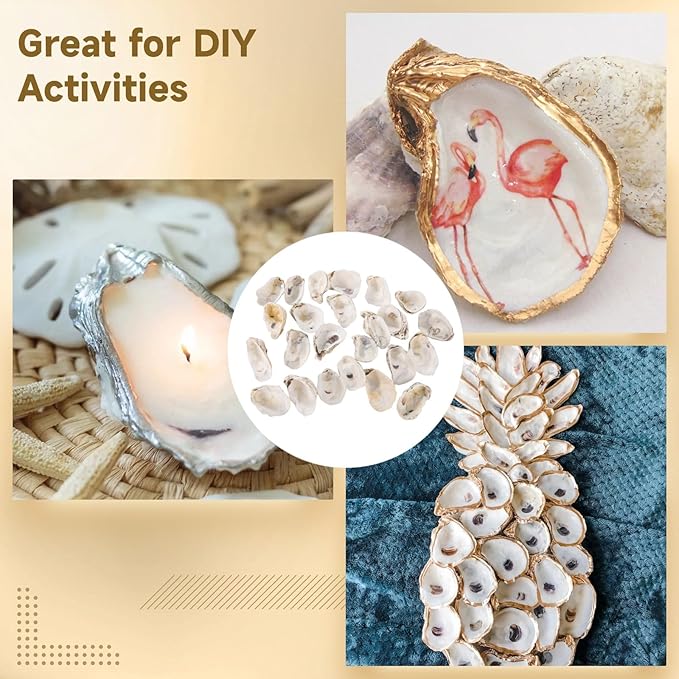 Homaisson 25 PCS Oyster Shells for Crafts, 2.8"-3.6" Oyster Shell for Decor, Natural North Sea Origin, Natural Design, Ideal for Aquarium Landscaping, Crack-Free Surface