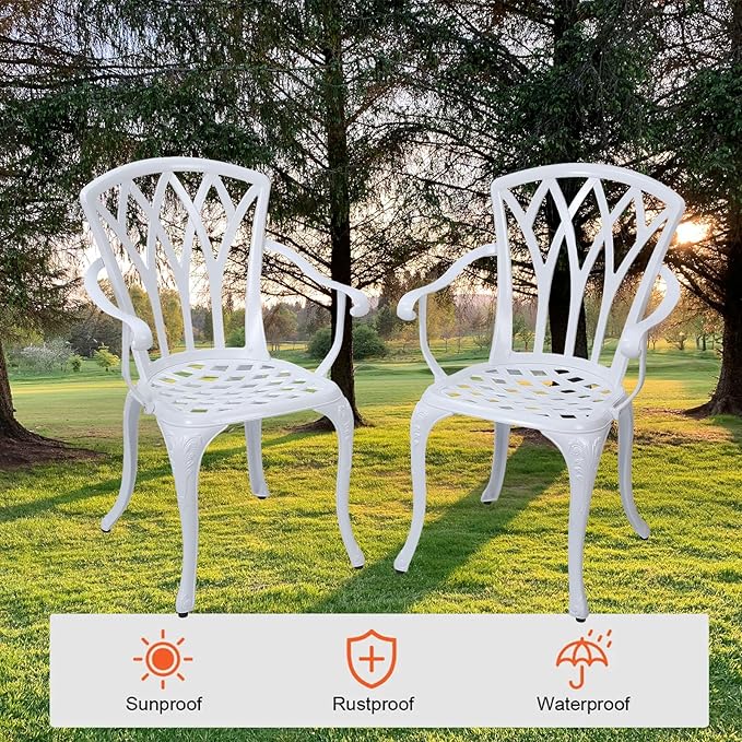 Patio Chairs Set of 2, Cast Aluminum Outdoor Dining Chair for Garden, Backyard, Balcony (White)