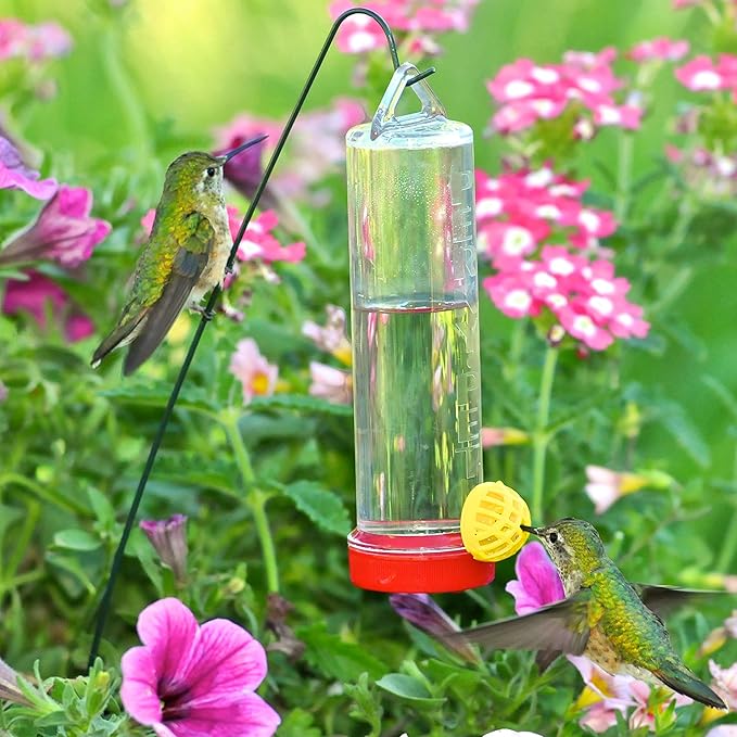 Perky-Pet 215P Planter Box 3-Ounce Plastic Hummingbird Feeder with Hanging Rod (Pack of 2)