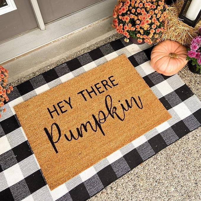 SEEKSEE Cotton Buffalo Plaid Rug 3'x5' Black and White Checked Rug Washable Doormats Indoor Outdoor Rugs for Layered Front Door Mats, Porch, Kitchen, Farmhouse, Entryway