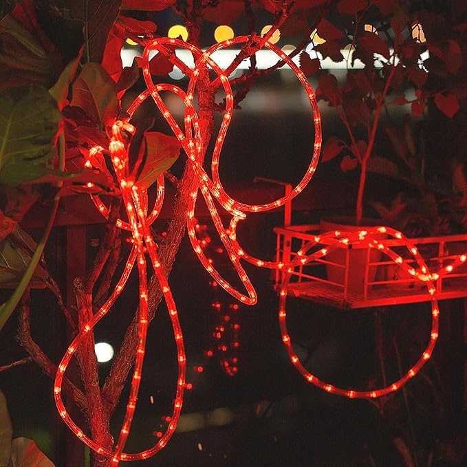 Waterproof LED Rope Lights, Connectable & Flexible with 8 Modes, Outdoor Lighting for Deck, Garden, Pool, Patio & Christmas Decor Transparent Tube (Red, 50ft)
