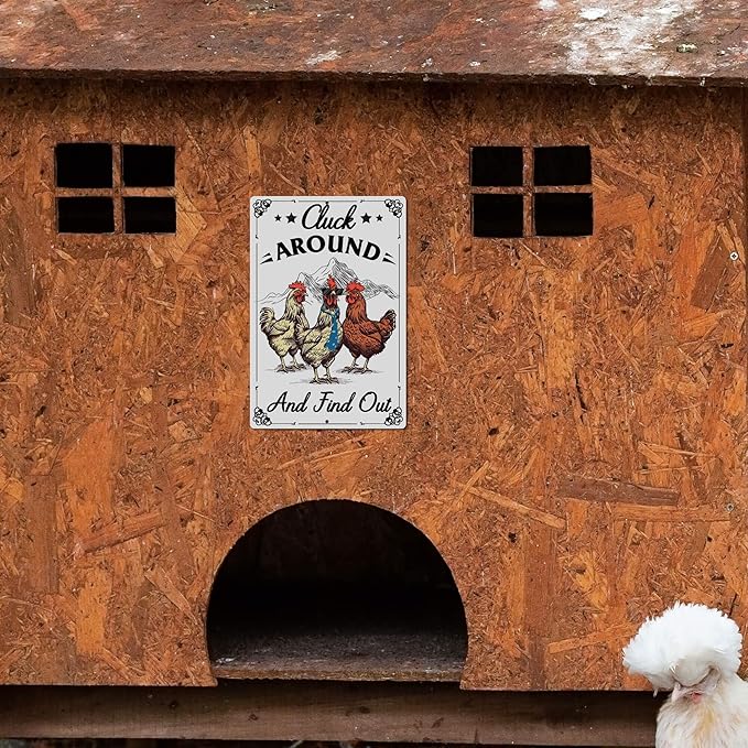 Putuo Decor Funny Chicken Sign Cluck Around And Find Out Metal Tin Sign Funny Wall Decor For Farmhouse Chicken Coop For Garden Decor Vintage Metal Tin Sign Plaque Outdoor Decor 12x8 Inch