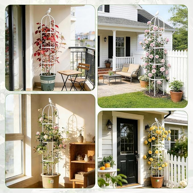 6ft Garden Obelisk Trellis for Climbing Plants-Rustproof Metal Pipe with Heavy Duty Plastic Coated, Garden Outdoor Indoor Potted Plant Support for Clematis Vine Jasmine Support (White)