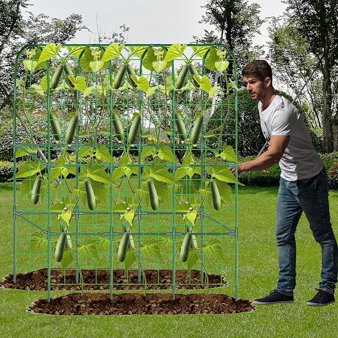 2 Pack 65in Tall Cucumber Trellis for Raised Bed, 50" L x 65" H Metal Garden Trellis for Climbing Plants Outdoor, U-Shape Vegetables Trellis Support for Squash Zucchini Peas Grape Flowers